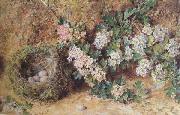 William Henry Hunt,OWS Chaffinch Nest and  May Blossom (mk46) oil painting artist